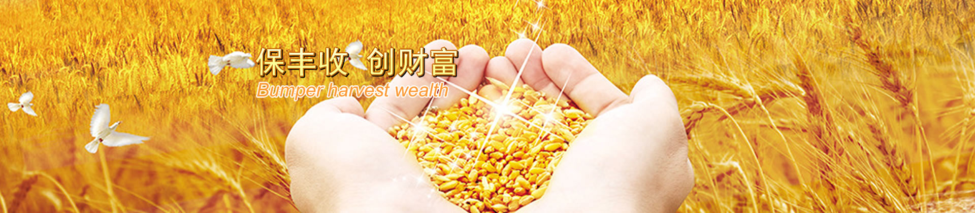 質量保證 優(yōu)質服務 求實創(chuàng)新